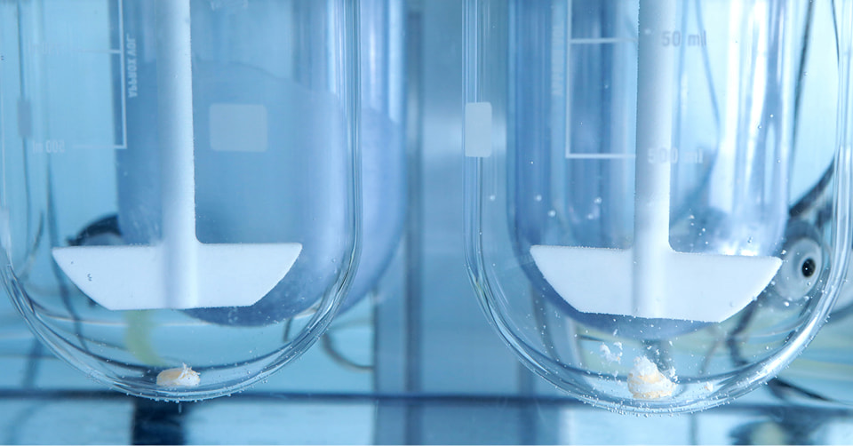 Dissolution Testing